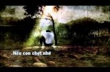 Nếu Con Chợt Nhớ